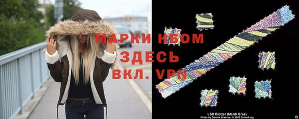 ПСИЛОЦИБИНОВЫЕ ГРИБЫ Алексин