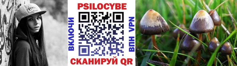 Галлюциногенные грибы Psilocybe  где продают   darknet клад  Благодарный 